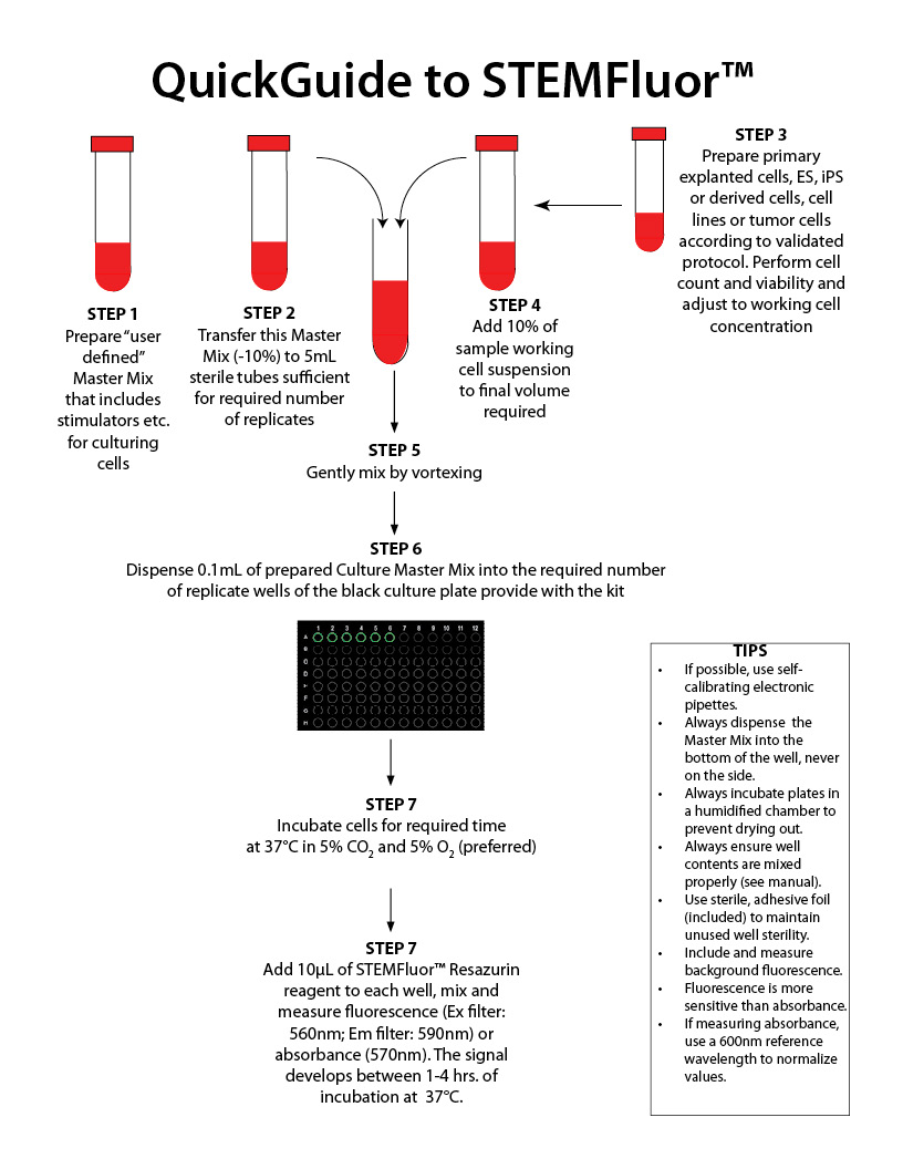 How to Measure Cell Proliferation using STEMFluor™ with a Fluorescence Resazurin Readout